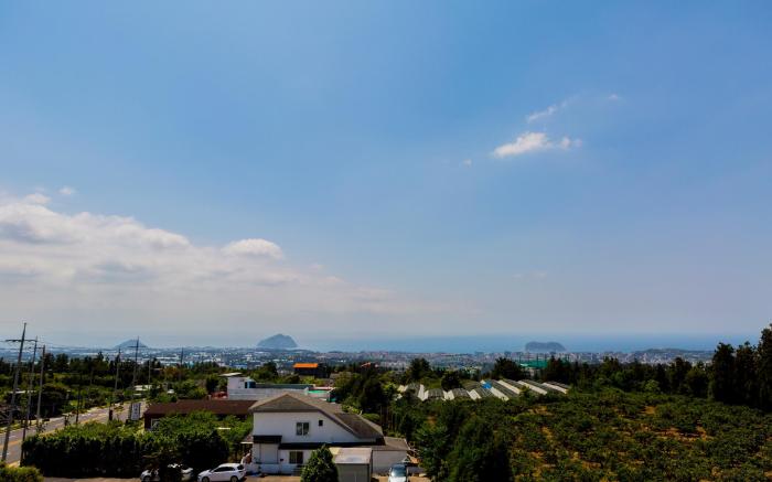 Seogwipo lacomma pension