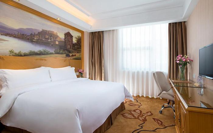 Vienna 3 Best Shenzhen Dalang Commercial Centre