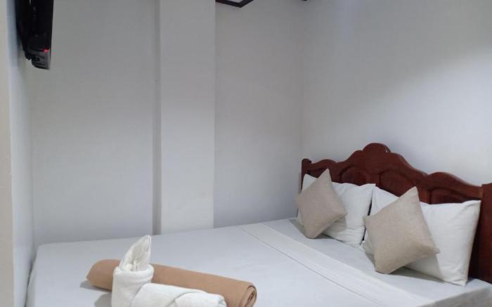 Alocasia Hostel