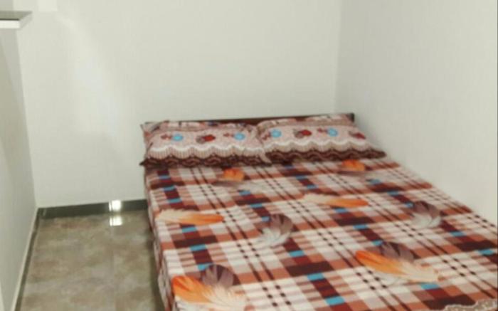 Oudarya Guest