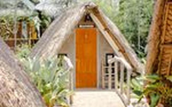 Your Brothers House Tribal Village