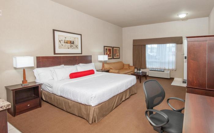 Ramada by Wyndham Drumheller Hotel & Suites
