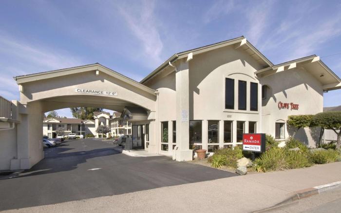 Olive Tree Inn & Suites