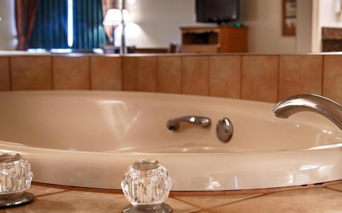 Best Western Dallas Inn and Suites