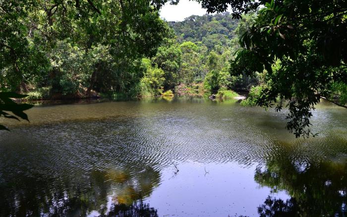 River near coorg