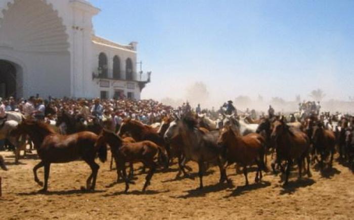 Hostal Rural La Fonda Del Rocio