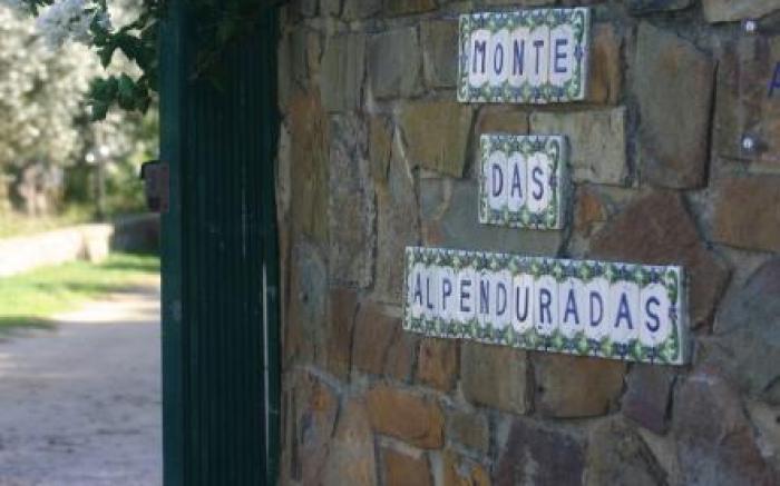 Monte Das Alpenduradas