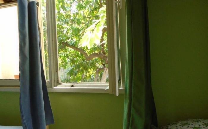 LOTUS GARDEN HOSTEL