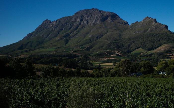 Clouds Wine and Guest Estate