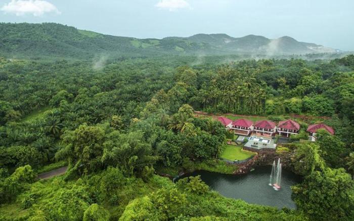 Athirappilly Green Trees Resort