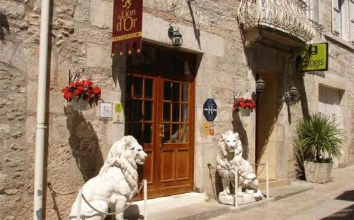 Hotel du Lion d'Or