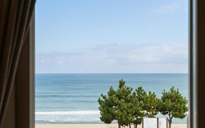 Yangyang Haetteuneun Changmun Pet-Friend