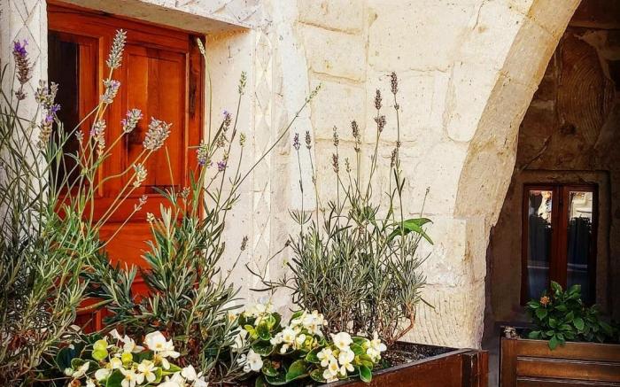 Vigneron Cave Hotel