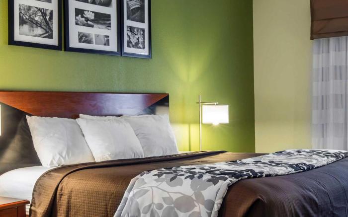 Sleep Inn & Suites Stockbridge Atlanta South