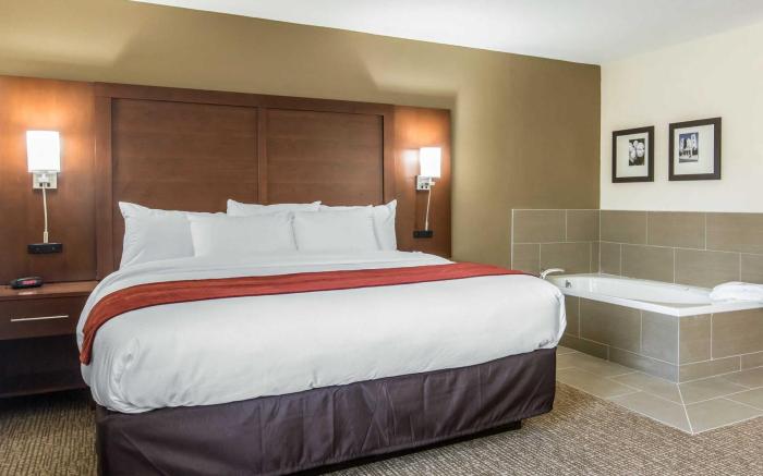 Comfort Inn & Suites Macon West