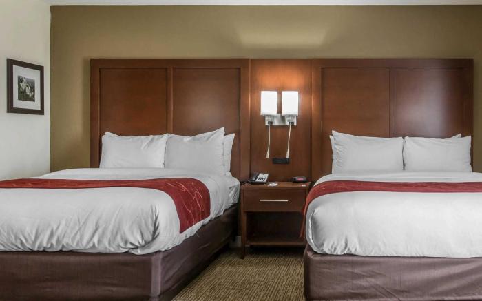 Comfort Inn & Suites Macon West