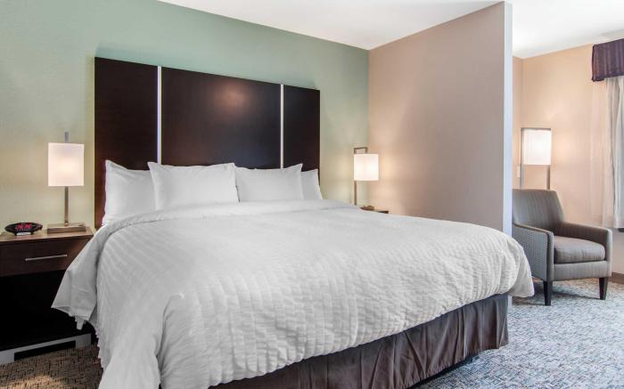 Clarion Inn & Suites Atlanta Downtown