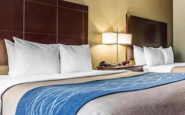 Comfort Inn & Suites Ballpark Area