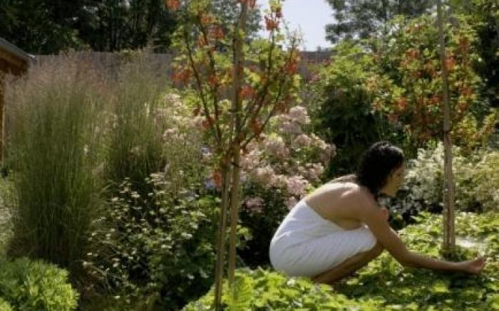 Vitalhotel Quellengarten - Bed & Breakfast