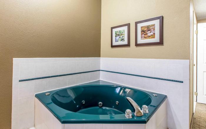 Comfort Inn & Suites Peachtree Corners