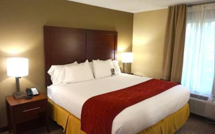 Comfort Inn & Suites Greenwood near University