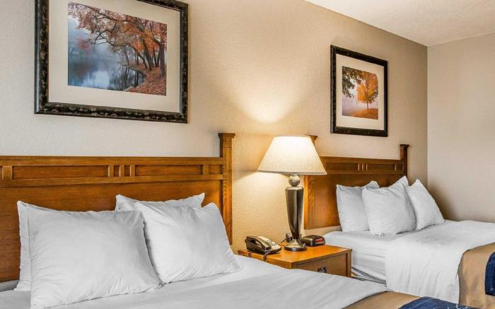 Comfort Inn & Suites