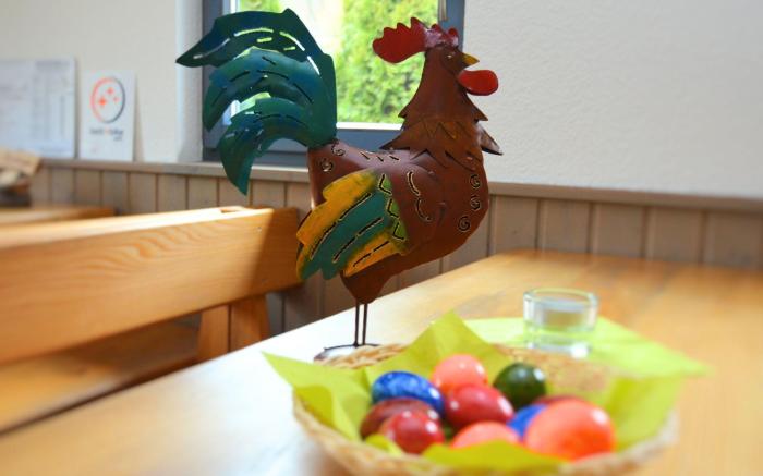 Holiday farm situated next to the Kellerwald-Edersee national park with a sunbathing lawn