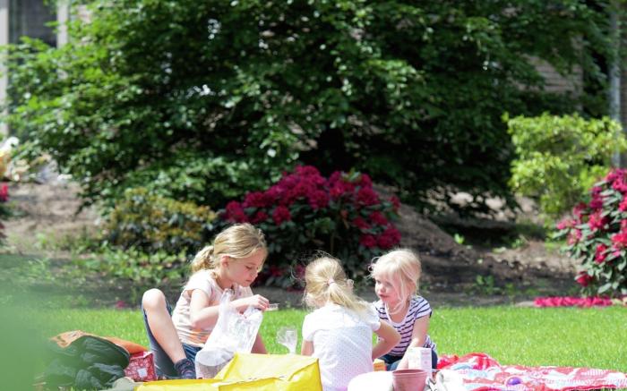 Villa in Netherlands with Sauna  Comfort