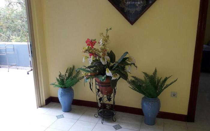 Villa Kota Bunga Freesia