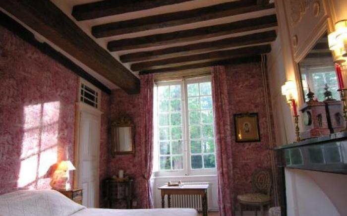 Chateau du Plessis - Anjou