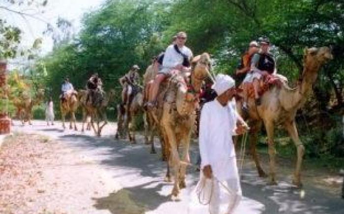 Umaid Palace - Getaway Resort Near Jaipur Close to Bhangarh & Chand Baori Stepwell Abhaneri