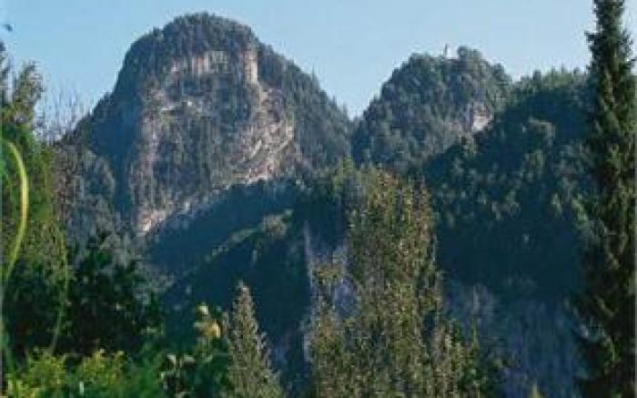 Gasthof Falkenstein - Metzgerei Schwaiger -