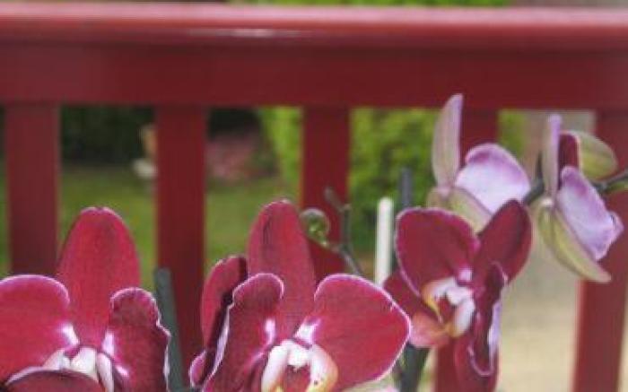 Hotel Residence Bellevue