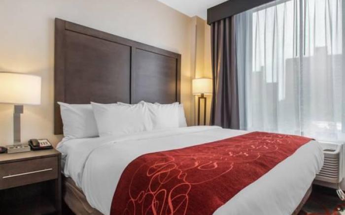 Comfort Inn & Suites near Stadium