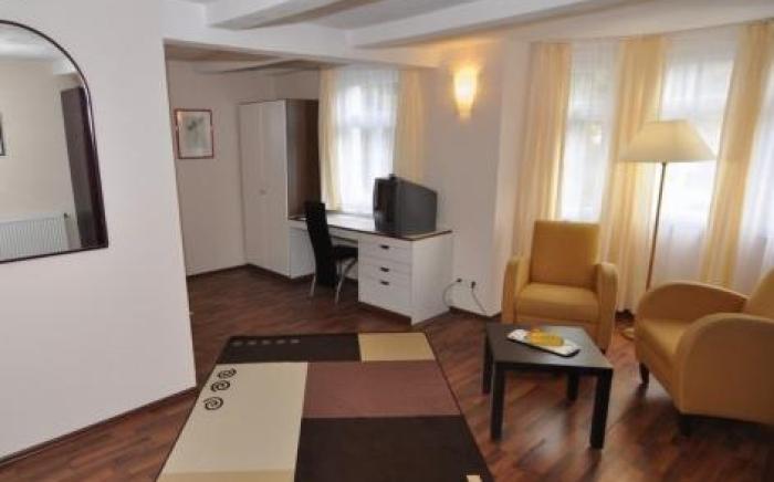 Le petit Palais - Hotel/Pension