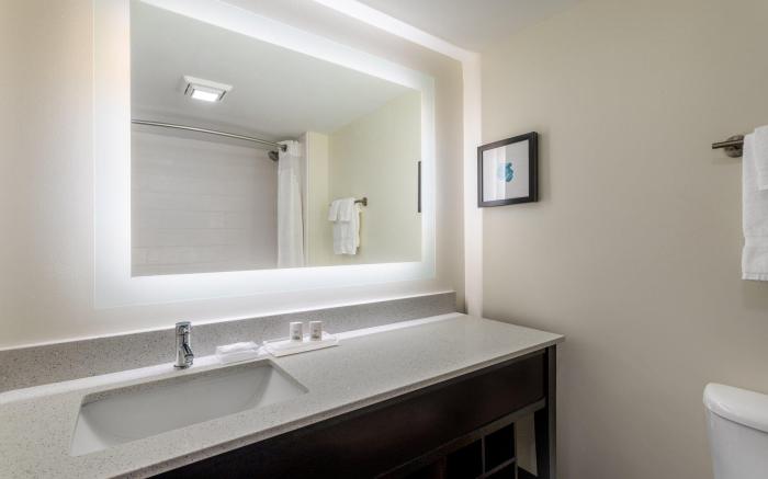 Holiday Inn Tampa North By IHG