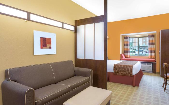 Microtel Inn & Suites by Wyndham Greenville/University Med