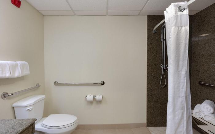 Holiday Inn Express & Suites - Atlanta Downtown By IHG