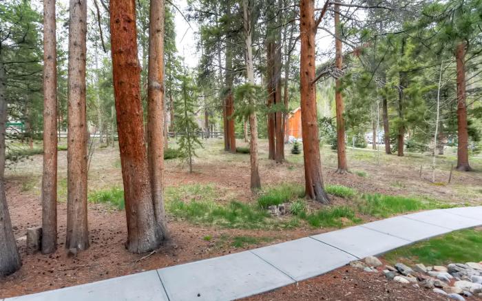 Forest Condominiums by Keystone Resort