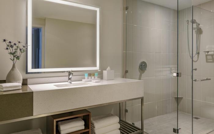 Hyatt Regency Houston/galleria
