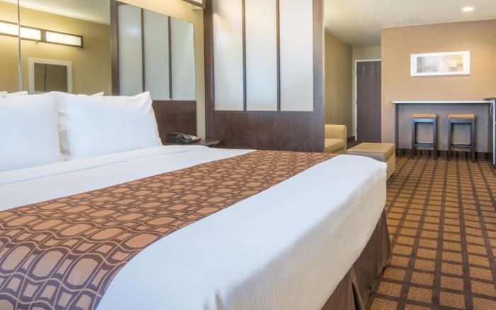Microtel Inn & Suites by Wyndham Montgomery