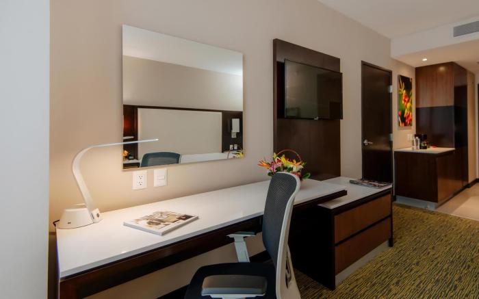Hilton Garden Inn Puebla Angelópolis