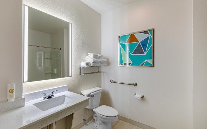 Comfort Inn & Suites Buford near Mall of Georgia