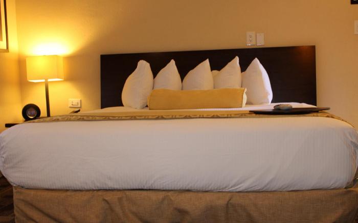 The Zen Hotel Palo Alto