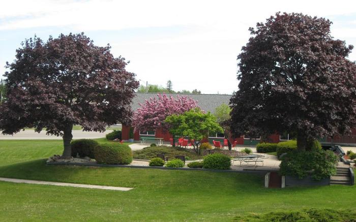 Cedar Hill Lodge