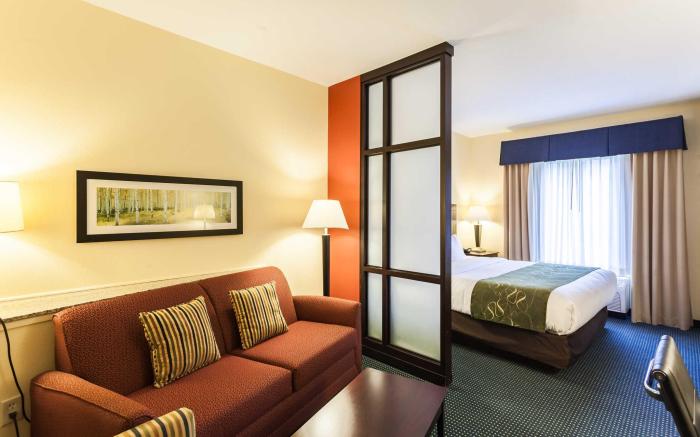 Comfort Suites East Lincoln - Mall Area
