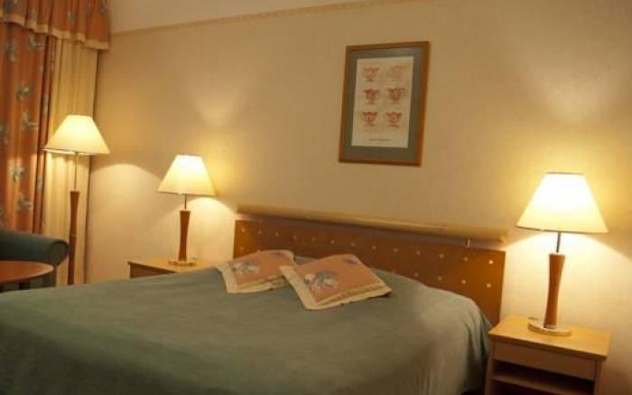 Hotel Fjalar