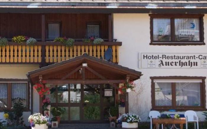 Auerhahn Bed and Breakfast - Black Forest - Waldhotel