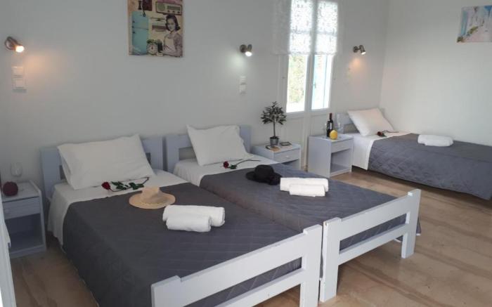 Hotel Petradi