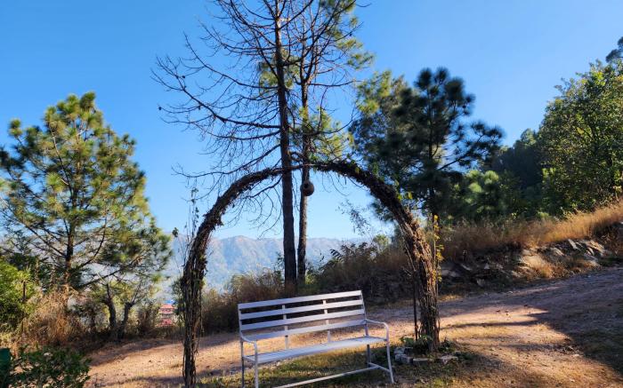 Pine Valley Resort-PVR Kasauli